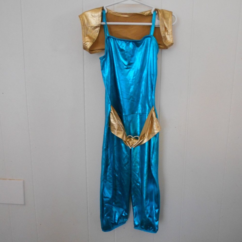 Small Child Dance Costume  Blue & Gold New